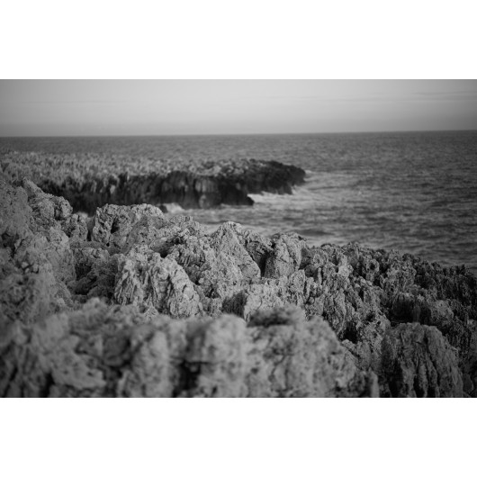 Obiektyw Voigtlander Nokton 75 mm f/1,5 do Leica M - srebrny