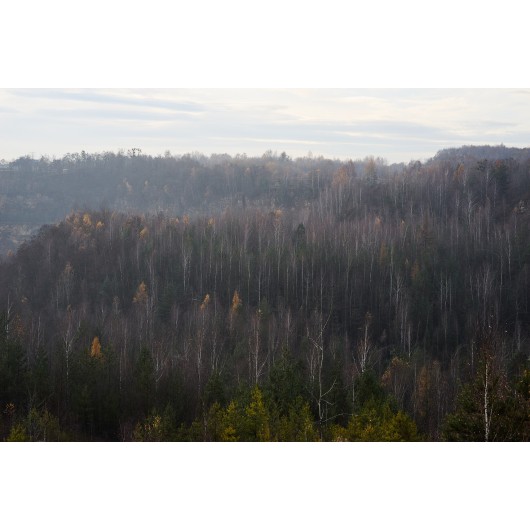 Obiektyw Voigtlander Nokton 75 mm f/1,5 do Leica M - srebrny