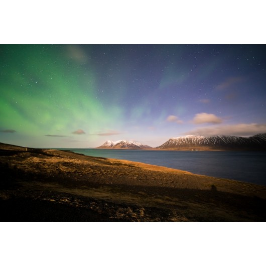 Obiektyw Venus Optics Laowa D-Dreamer 15 mm f/2,0 Zero-D do Sony E