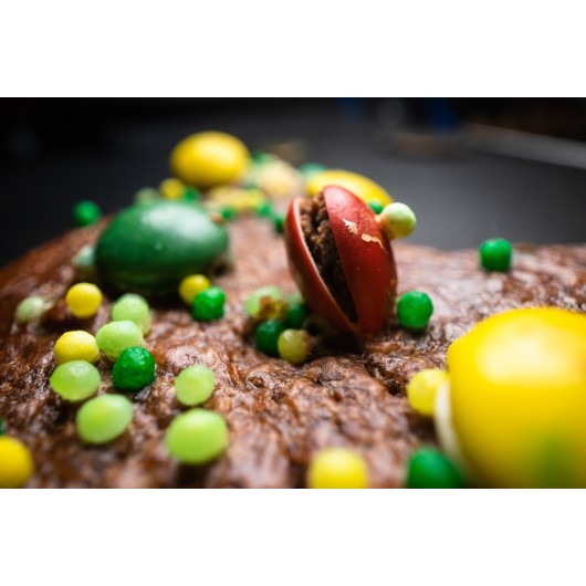 Obiektyw Venus Optics Laowa Probe 24 mm f/14 Macro 2:1 do Canon EF