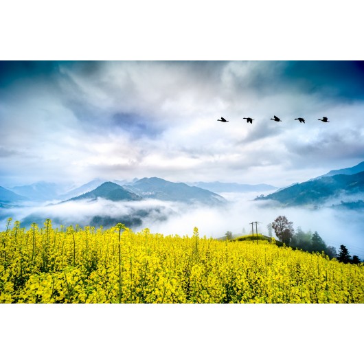 Obiektyw Venus Optics Laowa 15 mm f/4 Macro do Sony E