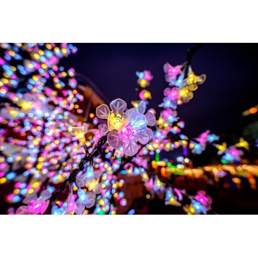 Obiektyw Venus Optics Laowa C&D-Dreamer 9 mm f/2,8 Zero-D do Fujifilm X