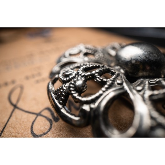 Obiektyw Venus Optics Laowa Probe 24 mm f/14 Macro 2:1 do Sony E