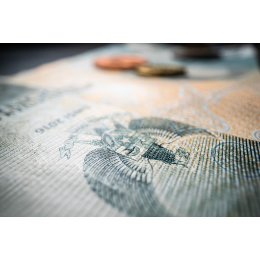 Obiektyw Venus Optics Laowa Probe 24 mm f/14 Macro 2:1 do Sony E