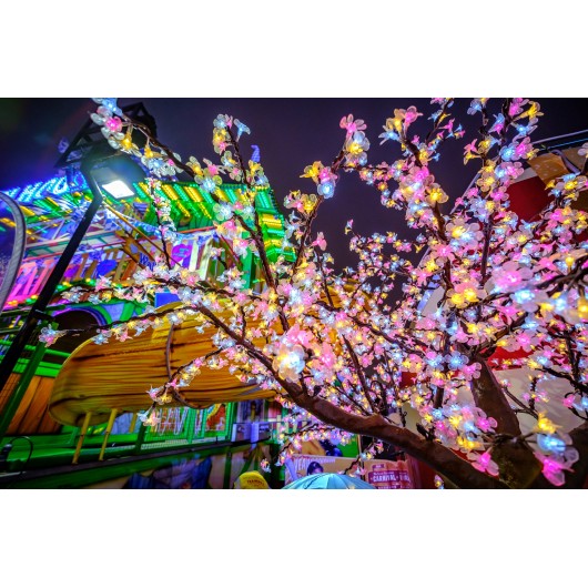 Obiektyw Venus Optics Laowa C&D-Dreamer 9 mm f/2,8 Zero-D do Micro 4/3