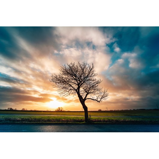 Obiektyw Venus Optics Laowa C&D-Dreamer 9 mm f/2,8 Zero-D do Micro 4/3