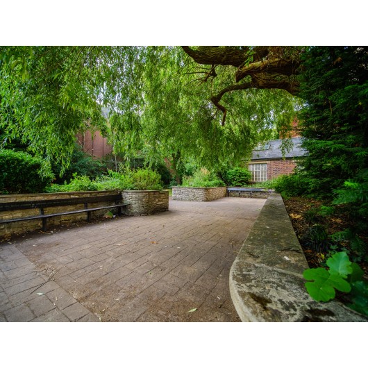 Obiektyw Venus Optics Laowa C-Dreamer Lightweight 7,5 mm f/2,0 do Micro 4/3 - czarny