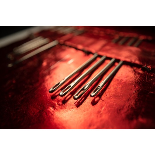 Obiektyw Venus Optics Laowa Probe 24 mm f/14 Macro 2:1 do Nikon F