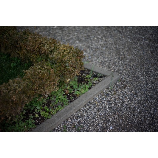 Obiektyw Voigtlander Nokton 50 mm f/1,2 do Leica M