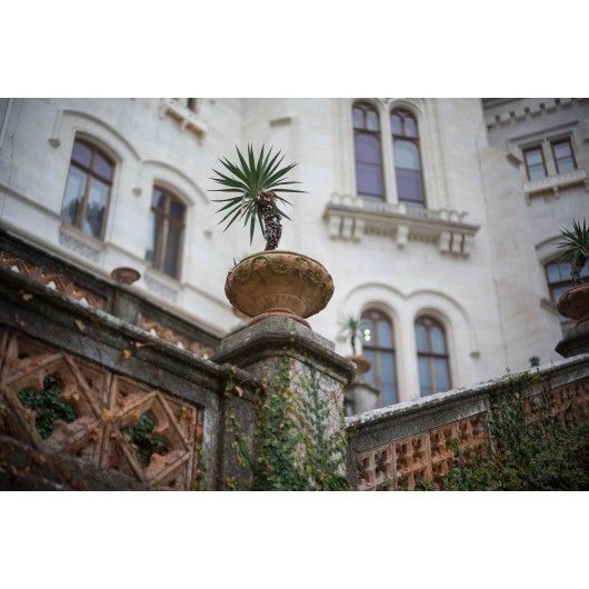 Obiektyw Voigtlander Nokton 50 mm f/1,2 do Leica M