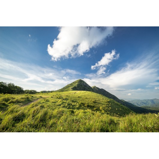 Obiektyw Venus Optics Laowa D-Dreamer 15 mm f/2,0 Zero-D do Canon RF