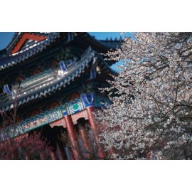 Obiektyw Venus Optics Laowa CA-Dreamer 100 mm f/2,8 Macro 2:1 do Canon EF 2