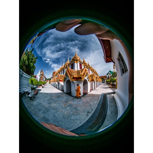 Obiektyw Venus Optics Laowa 4 mm f/2,8 Fisheye do Micro 4/3