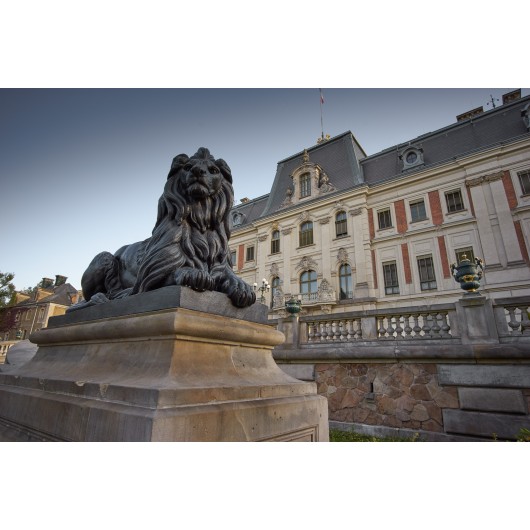 Obiektyw Voigtlander Color Skopar 21 mm f/3,5 do Leica M