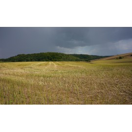 Obiektyw Voigtlander Nokton 21 mm f/1,4 do Leica M 2