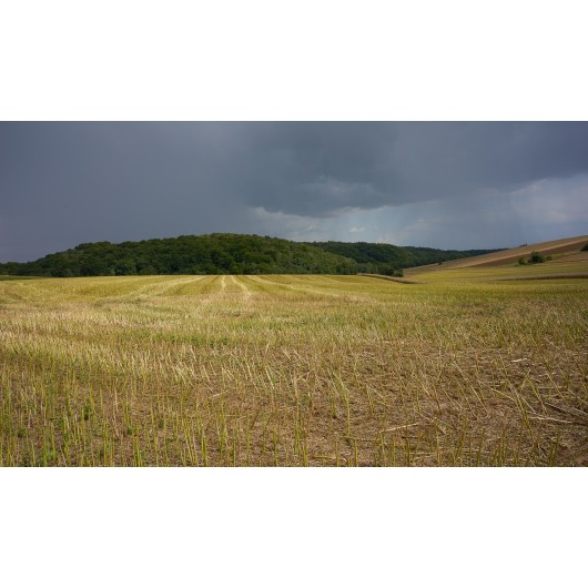 Obiektyw Voigtlander Nokton 21 mm f/1,4 do Leica M