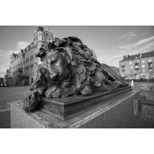 Obiektyw Voigtlander Nokton 21 mm f/1,4 do Leica M