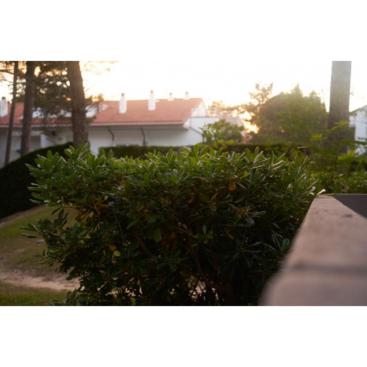 Obiektyw Voigtlander Ultron 35 mm f/2,0 do Leica M