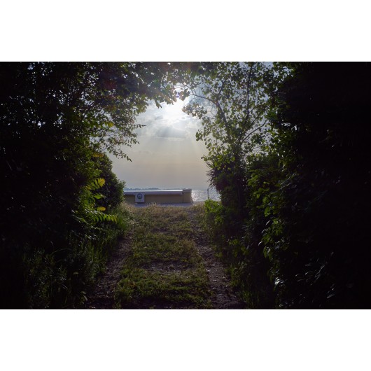 Obiektyw Voigtlander Ultron 35 mm f/2,0 do Leica M