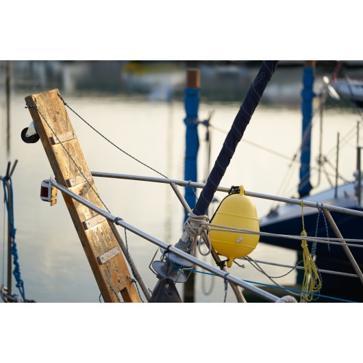 Obiektyw Voigtlander Macro APO Lanthar 110 mm f/2,5 do Sony E