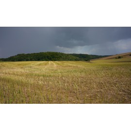 Obiektyw Voigtlander Nokton 21 mm f/1,4 do Sony E 2