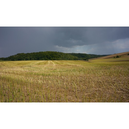 Obiektyw Voigtlander Nokton 21 mm f/1,4 do Sony E