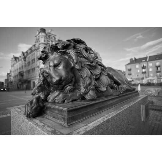 Obiektyw Voigtlander Nokton 21 mm f/1,4 do Sony E