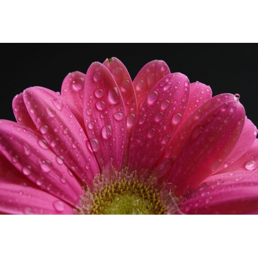 Obiektyw Tokina FIRIN 100mm F2.8 Macro FE AF Sony E