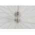 Quadralite Deep Space 130 transparent parabolic umbrella
