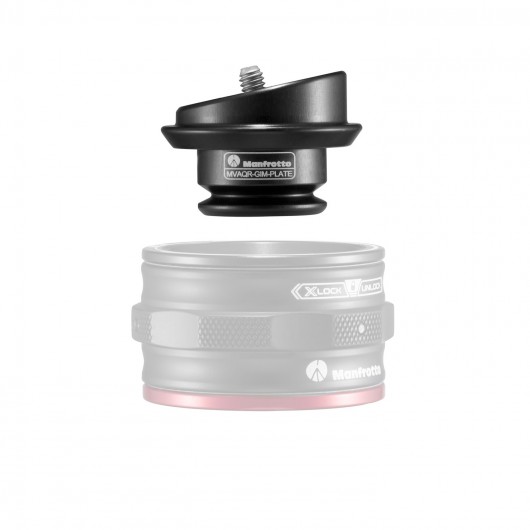 MOVE Płytka do gimbooma