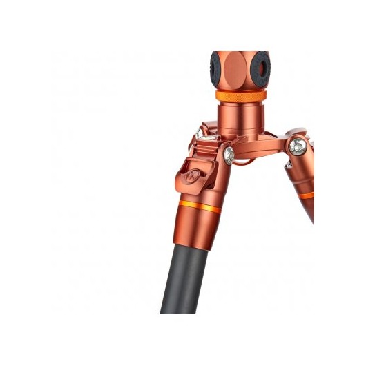 3LT - Statyw 3 Legged Thing Ray Bronze, włókna węglowe, 5-sekcji, udźwig 30kg, głowica Airhed VU