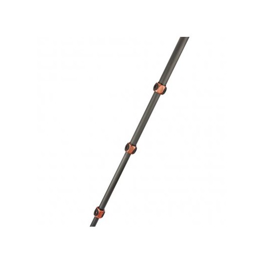 3LT - Statyw 3 Legged Thing Ray Bronze, włókna węglowe, 5-sekcji, udźwig 30kg, głowica Airhed VU