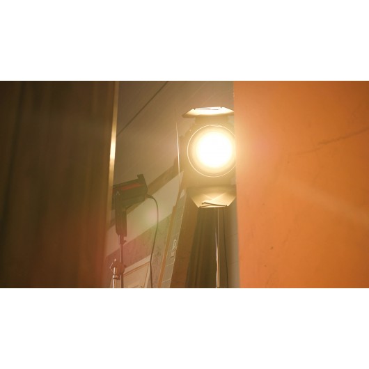 Wrota Aputure F10 Barn Doors