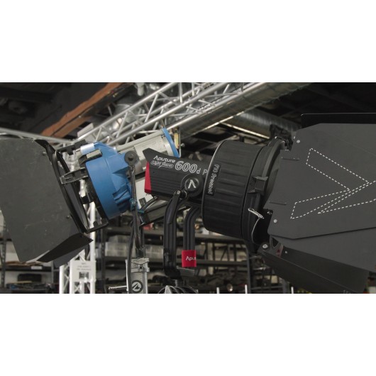 Wrota Aputure F10 Barn Doors