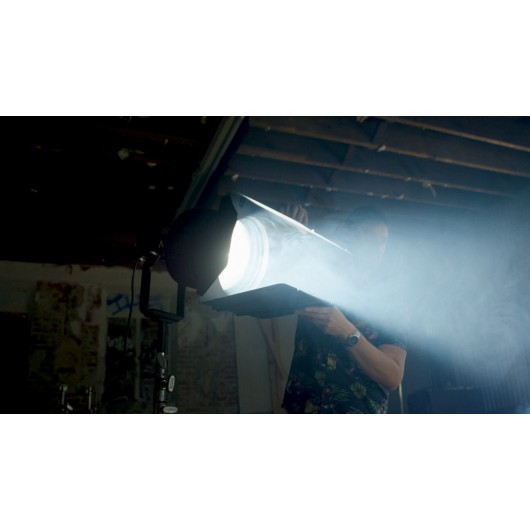 Wrota Aputure F10 Barn Doors