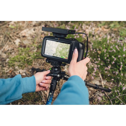 Głowica kulowa Fotopro P-4H - czarna