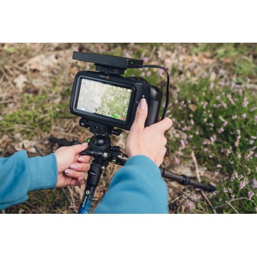 Statyw Fotopro P-4 Mini - czarny