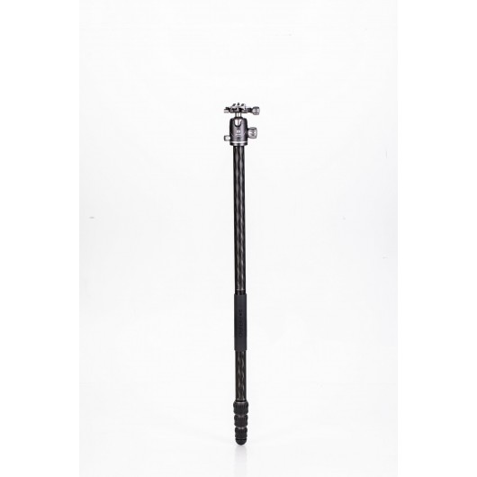 BENRO FRHN24CVX25 Rhino 24C + VX25 statyw karbonowy z głowicą kulową