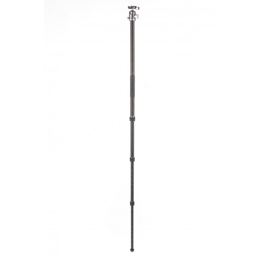 BENRO FRHN24CVX25 Rhino 24C + VX25 statyw karbonowy z głowicą kulową