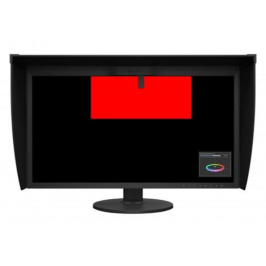 EIZO ColorEdge CG319X - monitor LCD 32