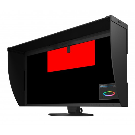 EIZO ColorEdge CG319X - monitor LCD 32