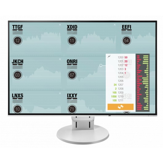 EIZO FlexScan EV2456-WT - monitor LCD 24,1" 1920 x 1200 (16:10)