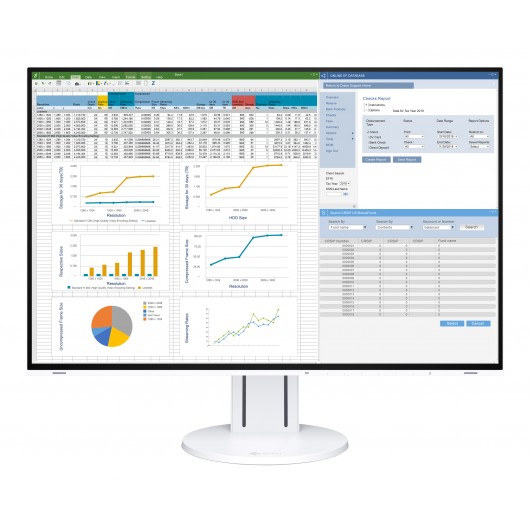 EIZO FlexScan EV2457-BK - monitor LCD IPS 24.1
