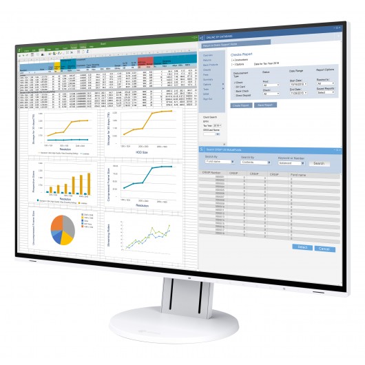 EIZO FlexScan EV2457-BK - monitor LCD IPS 24.1