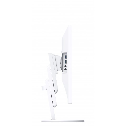 EIZO FlexScan EV2457-BK - monitor LCD IPS 24.1