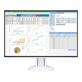 EIZO FlexScan EV2457-WT - monitor LCD IPS 24.1", 1920 x 1200 (16:10)