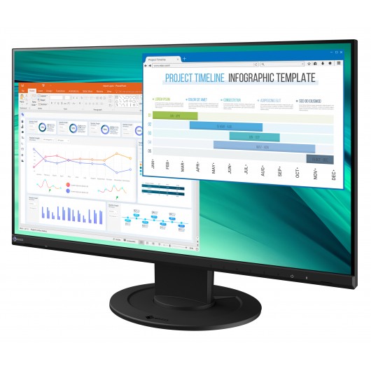 EIZO FlexScan EV2460-WT - monitor LCD IPS 23.8", 1920 x 1080 (16:9)