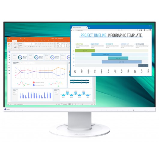 EIZO FlexScan EV2460-WT - monitor LCD IPS 23.8", 1920 x 1080 (16:9)