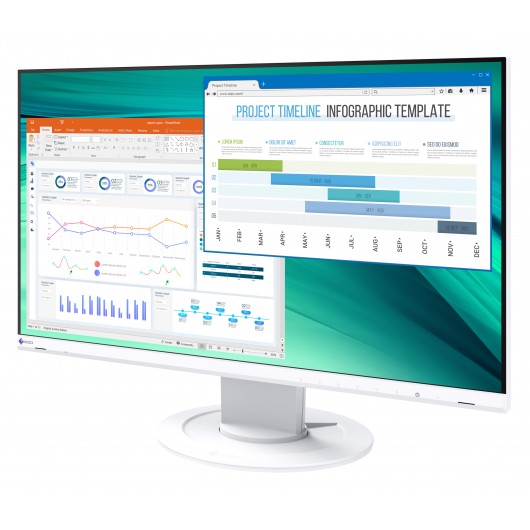 EIZO FlexScan EV2460-WT - monitor LCD IPS 23.8", 1920 x 1080 (16:9)