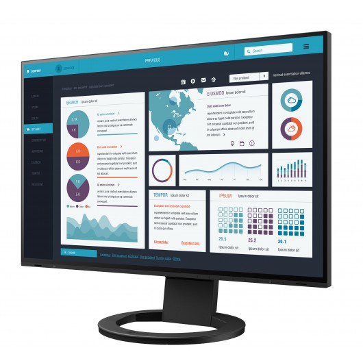 EIZO FlexScan EV2495-BK - monitor LCD 24", 1920 x 1200 (16:10) czarny